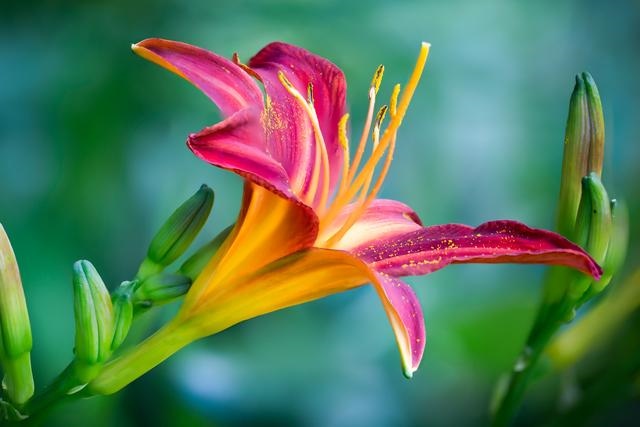 夫妻姻缘早已天生注定，佛缘重的人必须渡情劫