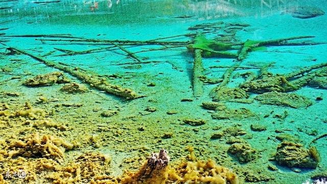 夫妻俩都是属鼠的好不好，夫妻两个都属鼠好吗