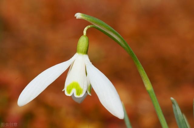 3年兔男性晚年状况,1963每属兔一生有二婚"
