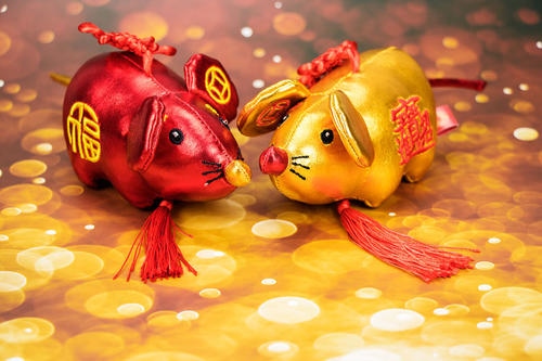 6年的鼠是啥命,96年火鼠五行缺什么"