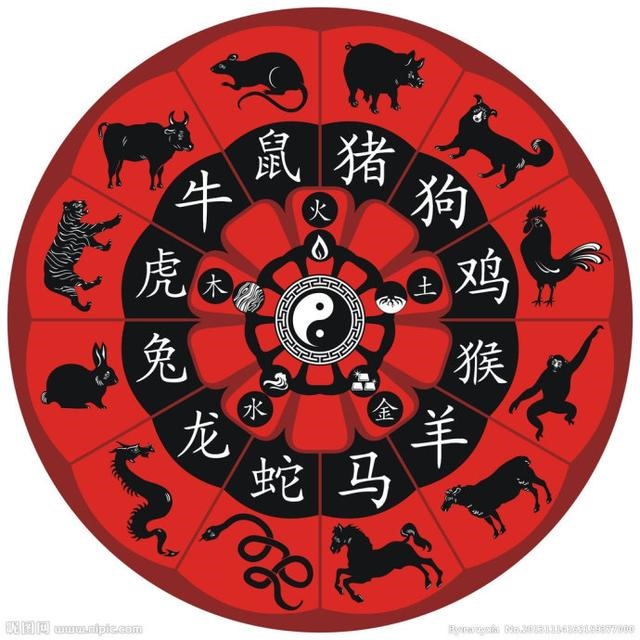 属鼠的相冲是什么生肖，鼠和什么属相不合