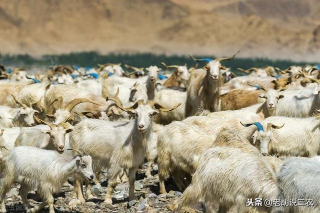 牛年相生相克的属相，婚姻属相相生相克