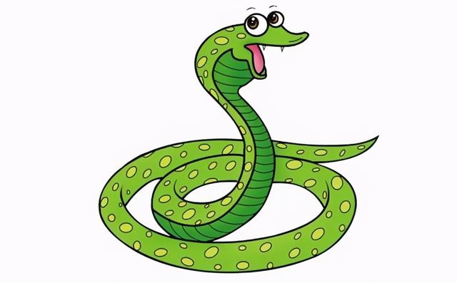 3年的兔寿命多长，1963女兔命好不好"