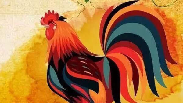 鸡在2022年的运势如何，属鸡2023到2024运势