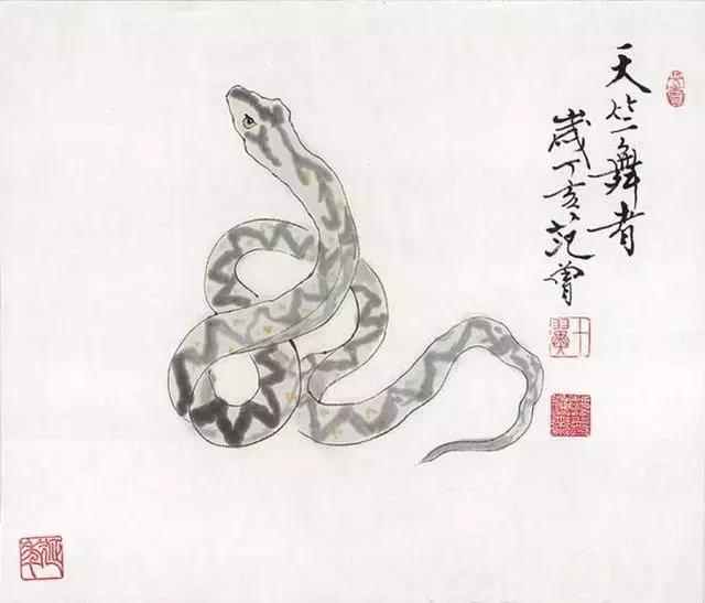 十二生肖图片动物实图，十二生肖12美女壁纸