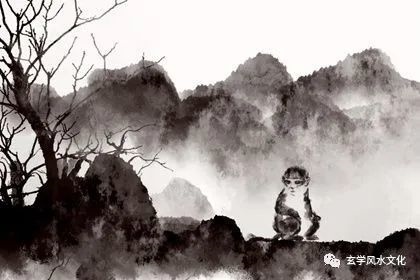 属猴男人更佳妻子，男生肖猴的更佳配偶