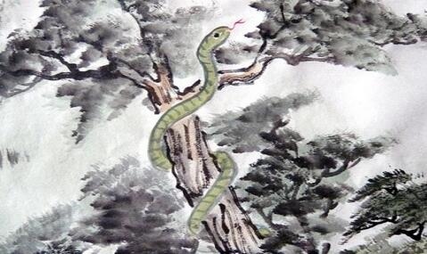 属兔和属鼠的婚姻好不好，属兔和属虎的婚姻怎样