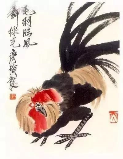 十二生肖图片动物实图，十二生肖12美女壁纸