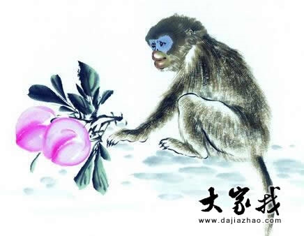 二零二零年屬猴人運勢，二0二0年屬猴人的運程