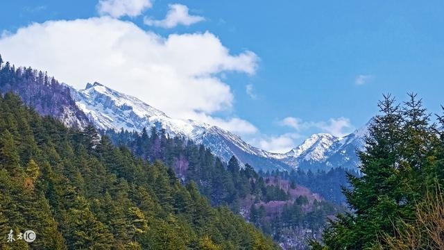 夫妻俩都是属鼠的好不好，夫妻两个都属鼠好吗