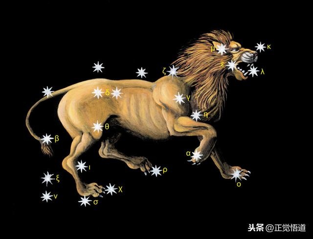 星座运势大全查询，2022 年星座运势查询