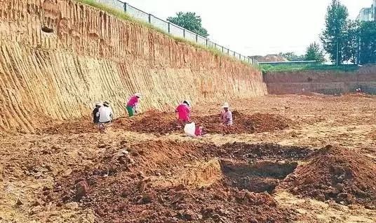 虎和龙配婚好不好，属龙和属虎的婚姻合吗