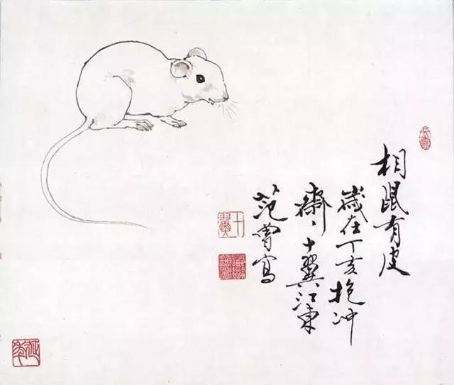 十二生肖图片动物实图，十二生肖12美女壁纸