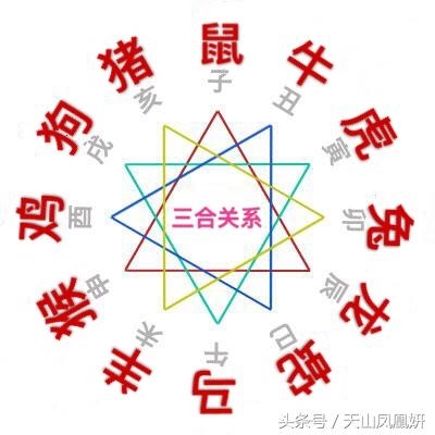 蛇的三合贵人和6合贵人，地支三合必离婚