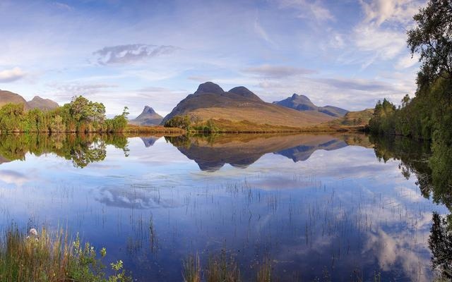 属猪的人的脾气性格是怎样的，智商低的人十种表现