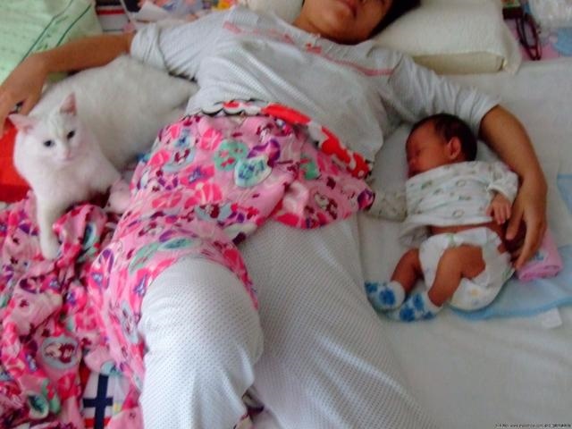 024年属龙忌讳哪个月出生，2024年龙年出生更佳月份"