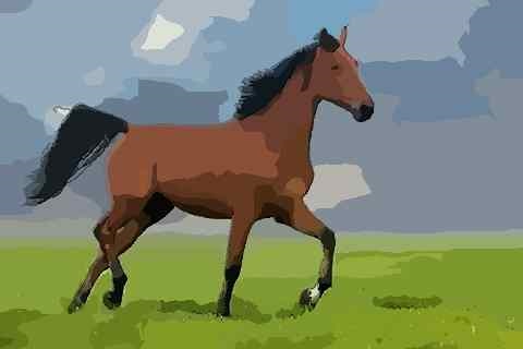 男属马女属马婚配好吗，90属马一生有几次婚姻