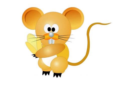 鼠年岁数表和岁数，鼠年的年龄差几年到一百岁