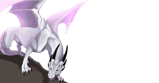 属龙人今年财运，属龙人2022 年财运