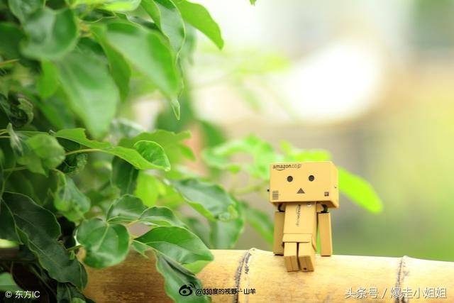 2年属鼠运势最旺是哪一年,1972年属鼠每月运势"