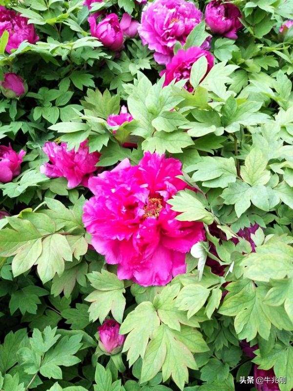 最准的免费算命 2345，八字详解免费