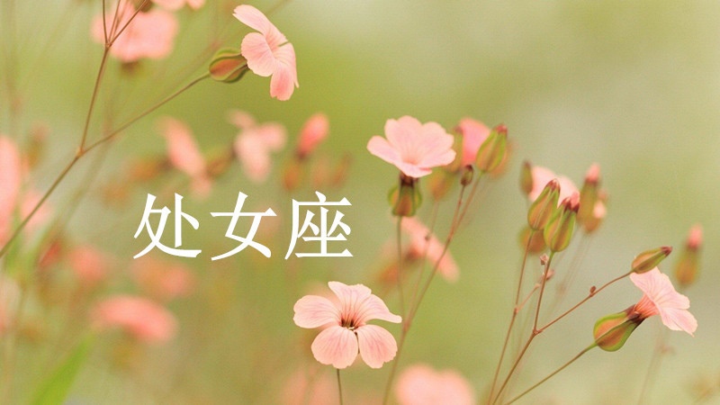 1属蛇的注定婚姻,属蛇人的正缘是什么时候"