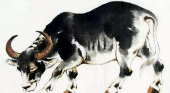 牛蛇属相合不合，牛和兔属相合不合