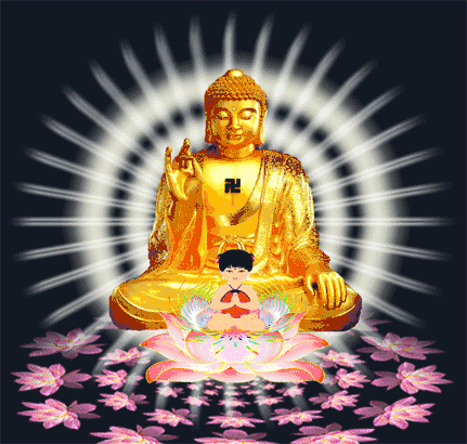 982年属狗人一生财运，1982属狗未来十年运势"