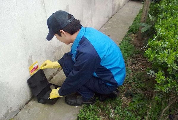 放什么东西老鼠不敢来，风油精和薄荷油哪个可以驱鼠