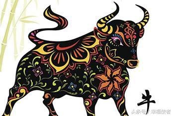 997年的牛今年运势如何，1997属牛的婚姻和命运"