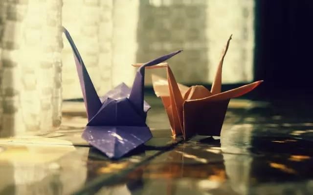 十月鼠人生运势，十月生肖鼠的人命运