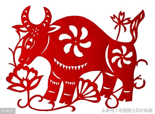 属牛人的命运与婚姻，85年属牛人的命运与婚姻