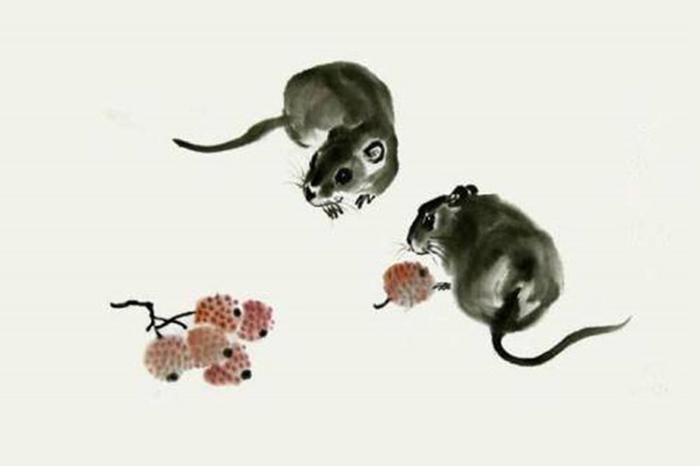 属鸡女大三岁属鼠男，属鸡男和属鼠女的婚姻