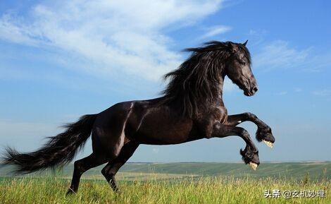 属龙的女人旺夫吗，1988属龙的女人旺夫吗