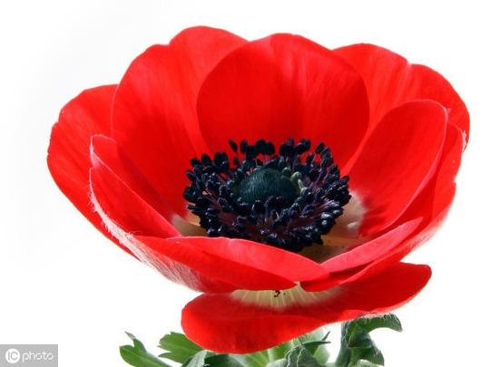 测测你命中注定的姻缘，测另一半颜值准到吓人