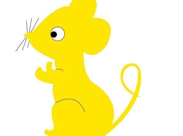 996年属鼠的男生适合的生肖，1996年属鼠的女生和哪个生肖最合"