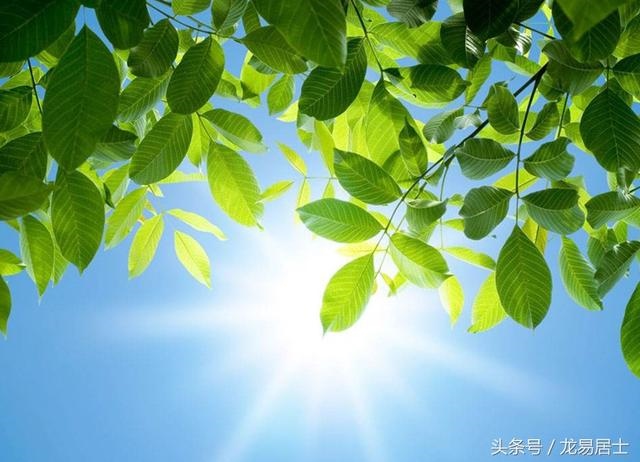 997年属牛三月的是什么命,1997年属牛姻缘在哪年"