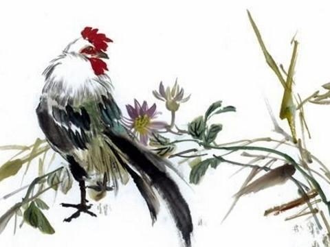 3年属鸡28岁运势,属鸡一生被什么人所害"