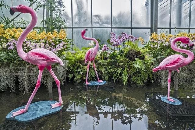 属猪2032年几岁，属猪今年15岁2月初9