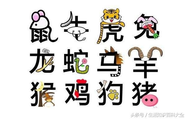 986年属虎和属蛇最配,虎蛇相刑到底有多严重"