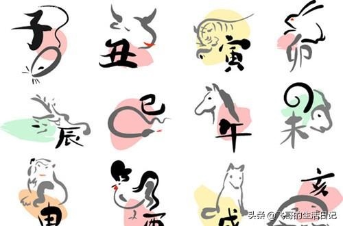 生肖鼠性格特点缺点，属鼠人的性格和优缺点