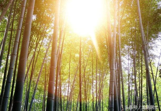 997年属牛三月的是什么命,1997年属牛姻缘在哪年"