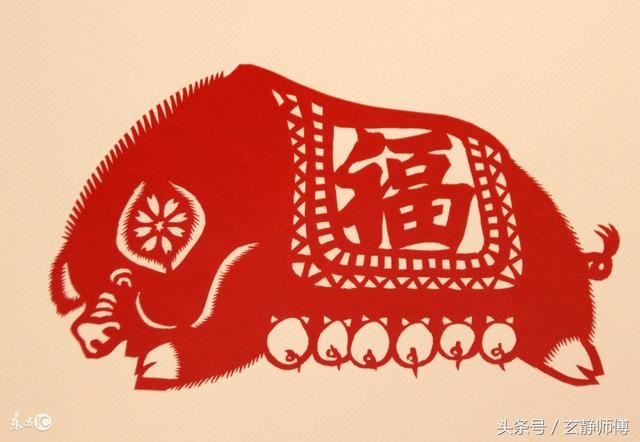 5年属猪有一灾,95年属猪几月命不好"