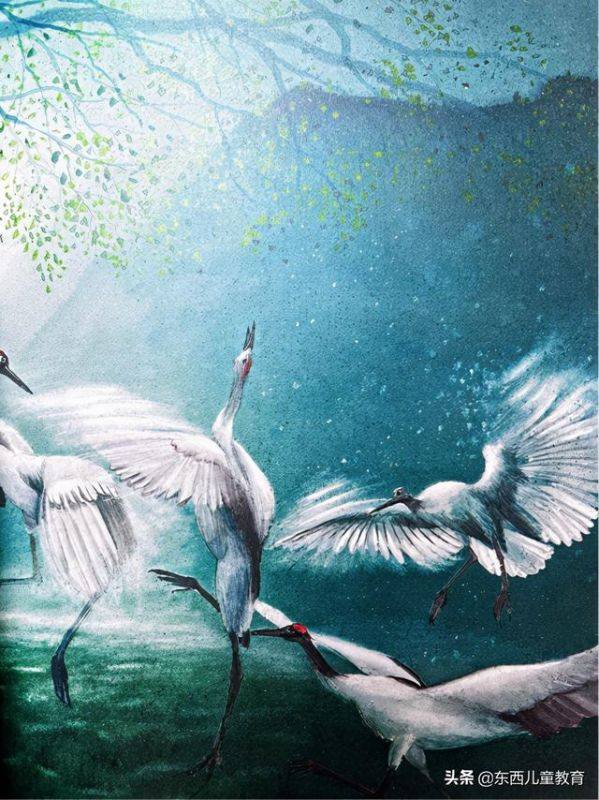 男孩出生好的6个日子，几月出生男孩有福