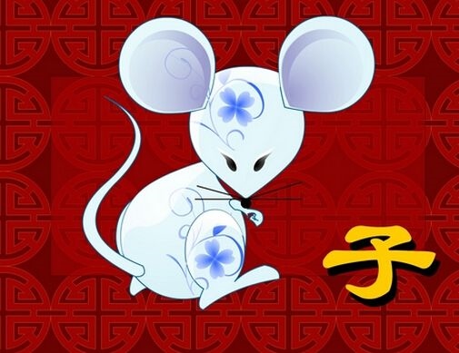 0月属鼠的命运怎么样,72年属鼠人48岁后命运"