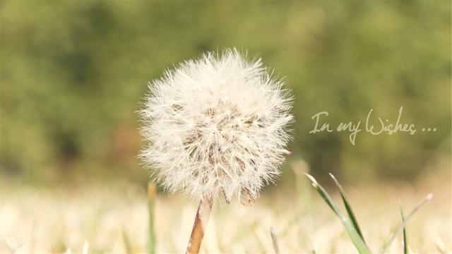 丙辰日柱辛丑流年运势，2022年有姻缘的日柱