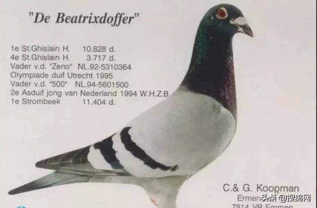 8年属猴人的婚姻更佳配偶，68年属猴女有几次婚姻"