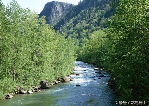 008年2月的鼠女孩什么命，1984年属鼠2022