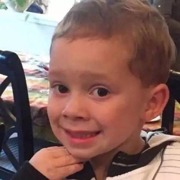 猪年犯冲的属相，2022 年属猪和什么相冲