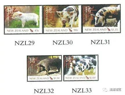 猪和什么生肖配对，生肖猪与生肖猪的缘分